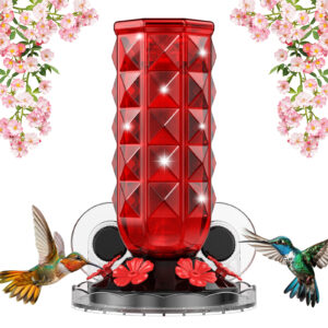 Window Hummingbird Feeder Picture
